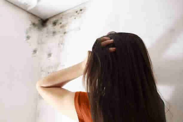 woman looking at mold, wondering if she needs a professional mold removal company