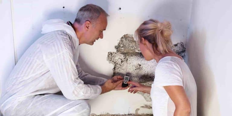 what happens when I get a mold inspection, or water damage restoration, or fire damage restoration?