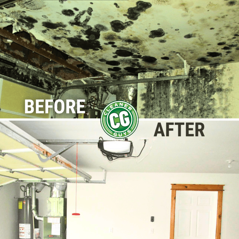 mold inspection for businesses before and after