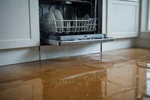 what to do if your dishwasher leaks blog post image